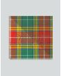 Ancient Buchanan Tartan