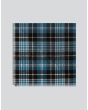 Clark Family Tartan